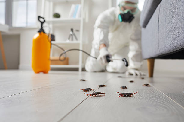 Commercial Rodent Management in Sparta